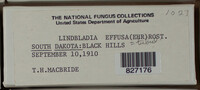 Image Associated With the Occurence